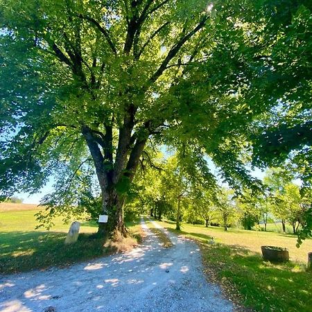 Gite De L'Edelinie Nanteuil-Auriac-de-Bourzac Екстериор снимка