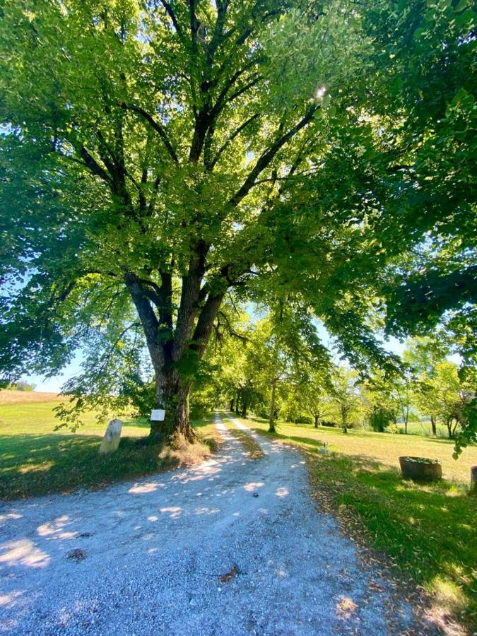 Gite De L'Edelinie Nanteuil-Auriac-de-Bourzac Екстериор снимка